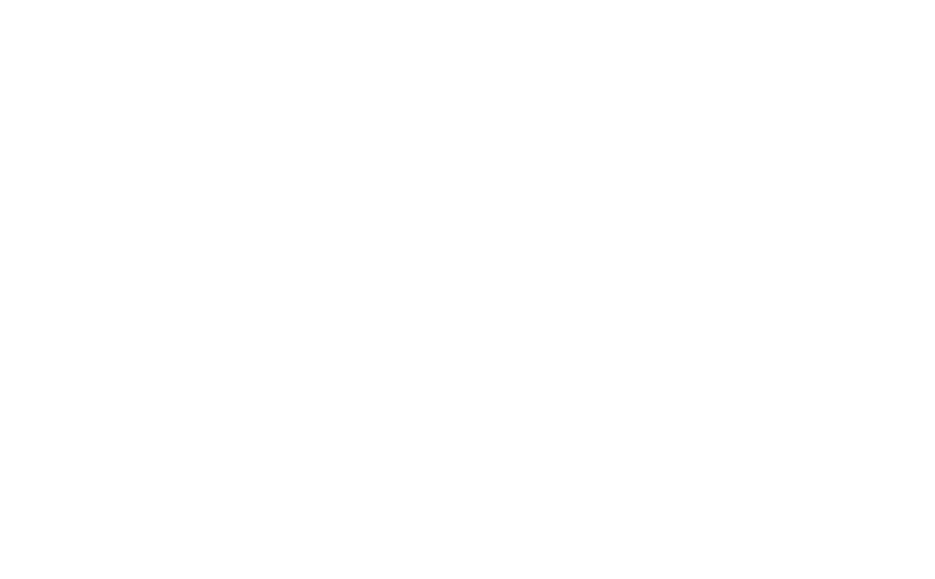 الخيول العربية السريعة للشحن